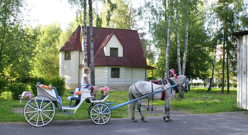 Гостевой дом Парк-отель Ярославль Красные Ткачи-36